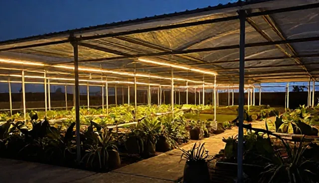 网络工程推广需关注性能优化的五大检查要点